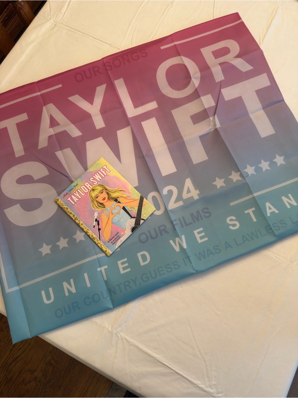 Taylor Swift pastel panel banner with pink, green, yellow, blue blocks